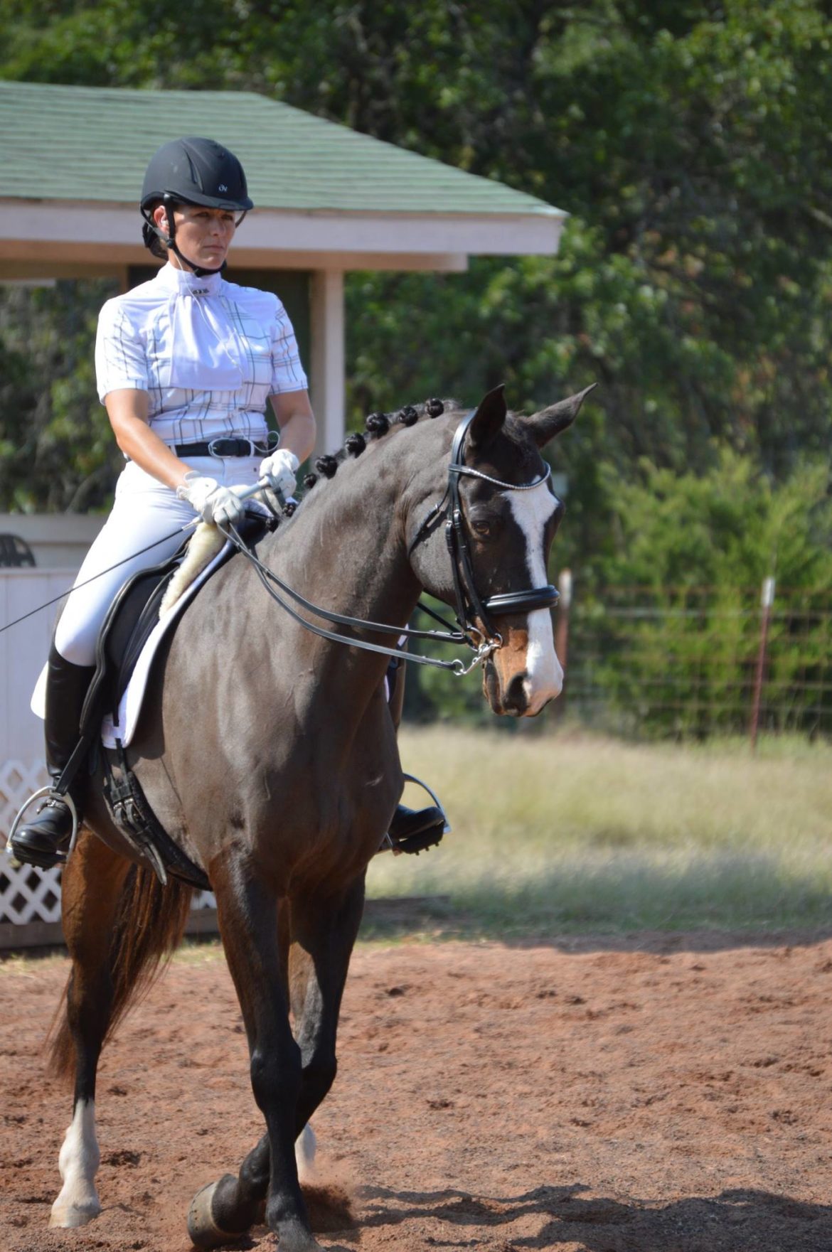 How Do You Get A Usdf Bronze Medal